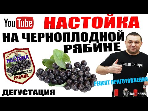 Видео: Настойка На Черноплодной Рябине! Отличный Рецепт Приготовления! Дегустация!