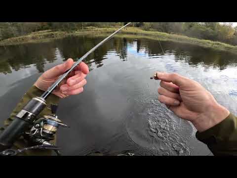 Видео: День, когда едва ушёл от нуля...