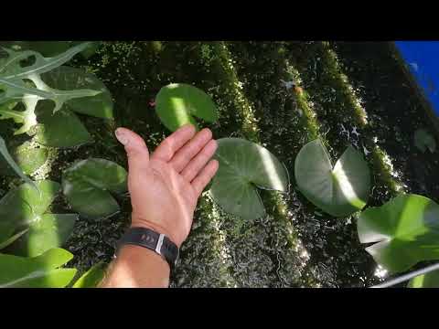 Видео: Работа биоплато после зимы.