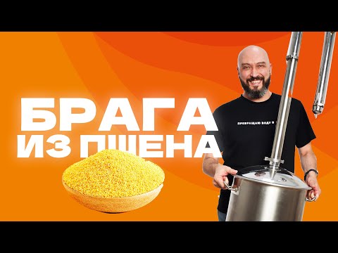 Видео: Пшённый самогон | как сделать брагу из пшена