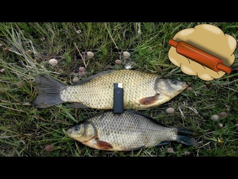 Видео: Сырное тесто для рыбалки на карпа, сазана и крупного карася