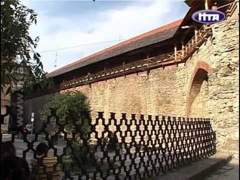 Видео: Львів: Хроніки древнього міста - Фільм 10