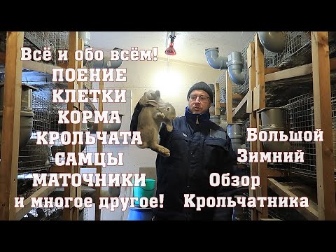 Видео: Большой Зимний Обзор Крольчатника