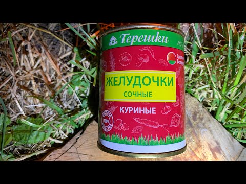 Видео: ЖЕЛУДОЧКИ КУРИНЫЕ СОЧНЫЕ - ТЕРЕШКИ - ГОМЕЛЬСКАЯ ПТИЦЕФАБРИКА