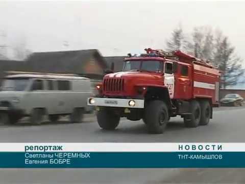 Видео: ТНТ Камышлов День ПО