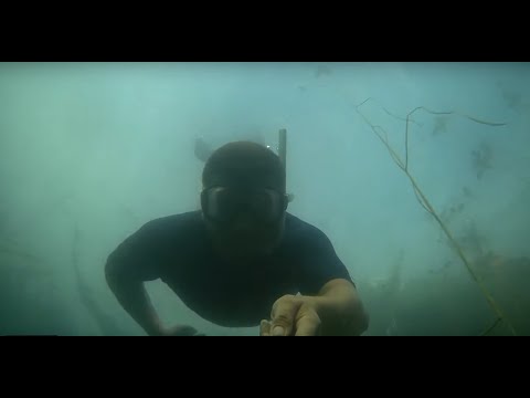 Видео: Озера затерянные в тайге. По озерам Псковской области. Озеро Синовино.