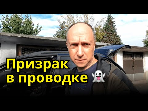 Видео: Охота на призрака в проводке BMW X5 E53 👻