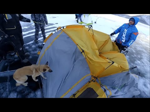 Видео: УРАГАН ЛОМАЕТ И УНОСИТ ПАЛАТКИ!!! РЫБАЧИМ В ЛЮТЫЙ ВЕТЕР САРМА НА БАЙКАЛЕ!