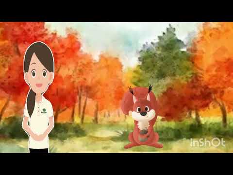 Видео: Розвиток мовлення. "На гостини до лісових звірят" ранній вік