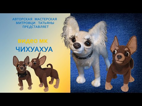 Видео: Мастер-класс Чихуахуа крючком (видео мк)-1 часть #1