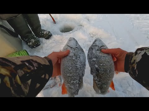 Видео: ЛЕСКА ТРЕЩИТ ОТ ЭТИХ КАБАНОВ!!! МЕШОК РЫБЫ ЗА 3 ЧАСА!!! НЕ РЫБАЛКА А МЕЧТА!!! Зимняя рыбалка 2023