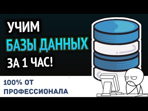 Видео: Учим Базы Данных за 1 час! #От Профессионала