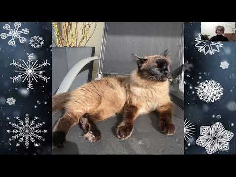 Видео: Немецкий язык Что такое weih в слове Weihnachten