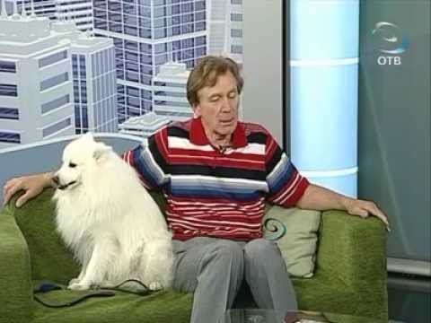 Видео: Аааааап, и тигры у ног его сели! (16.08.12)