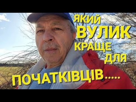 Видео: Який вулик обрати початківцям? #пчеловодствов6тирамочныхульях