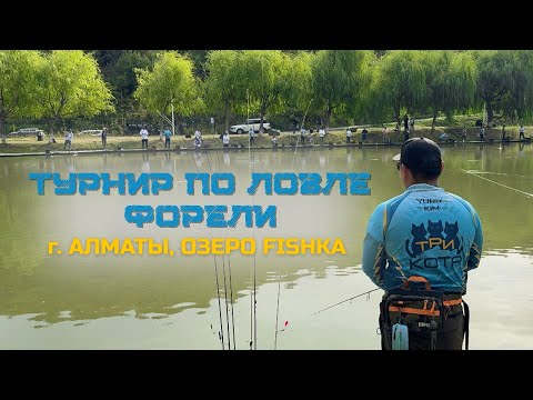 Видео: Турнир по ловле форели г.Алматы оз.Fishka 2025