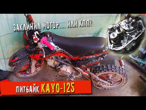 Видео: Питбайк KAYO 125 заклинил мотор. Или КПП? Разберемся