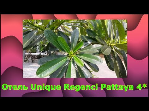 Видео: Паттайя. Пляж. Обзор отеля Unique Regency Pattaya 4*, Завтраки, Номер, Бассейн.
