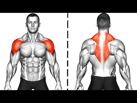 Видео: Лучшие Упражнения для Плеч и Спины Дома
