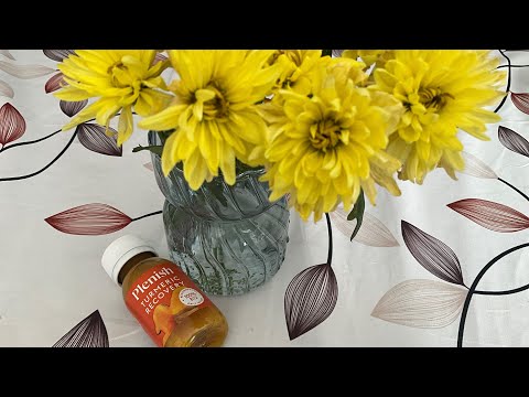 Видео: Plenish shot with vit.B12/Журналы магазина LIDL(начало октября)/Датская булочка с фигой и яблоком