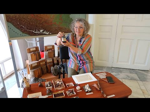 Видео: Орешковые чернила