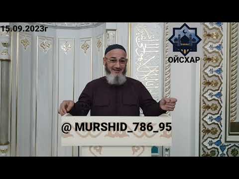 Видео: ИСА ХЬАЖА ОЙСХАР!  ЭЛЧАН АСХЬАБЕХ МУСХЬАБЕХ ЛАЬЦ ХАЗ ХЬЕХАМ!