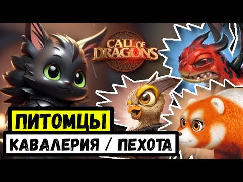 Видео: Питомцы для КАВАЛЕРИИ И ПЕХОТЫ / Подводим итоги по ТОП зверькам [ Call of Dragons ]