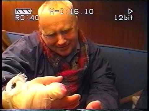 Видео: Слово о плавбазе Всеволод Сибирцев 2 часть