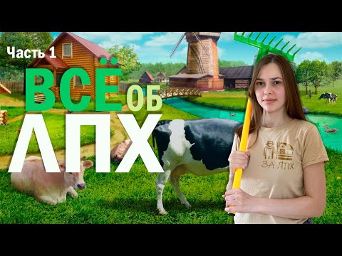 Видео: Все про ЛПХ (Личное Подсобное Хозяйство) часть 1.