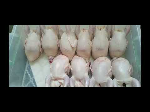 Видео: Техасский перепел или белый гигант (вес тушки)