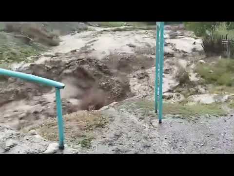 Видео: КАДАМЖАЙ ЖААГАН ЖААНДАН КЕЛГЕН СЕЛ 😳‼️