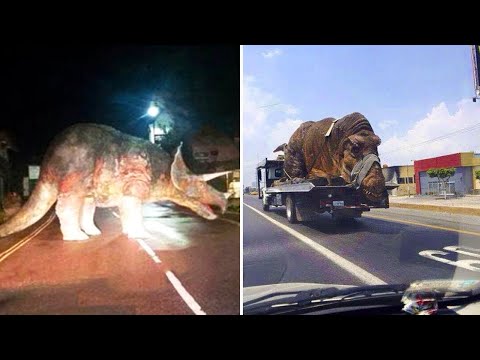 Видео: Они Выжили! 12 Динозавров Снятых на Камеру