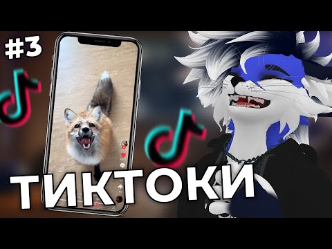 Видео: ФУРРИ КРИНЖУЕТ С МЕМОВ В TikTok #3