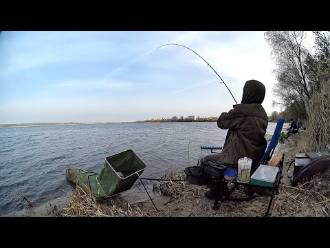 Видео: Тропический "КАРАСЬ" на атомной рыбалке. Ловля на фидер весной. Телапия Нововоронеж