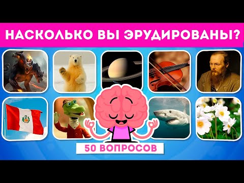 Видео: НАСКОЛЬКО ВЫ ЭРУДИРОВАНЫ? ИНТЕРЕСНЫЙ ТЕСТ ИЗ 50 ВОПРОСОВ НА ОБЩИЕ ЗНАНИЯ / EMOJI COOL 😎