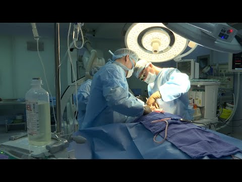 Видео: Донор керек, 4 мыңнан аса адам кезекте тұр. Елімізде донор неге аз?