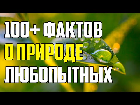 Видео: 100+ ЛЮБОПЫТНЫХ ФАКТОВ О ПРИРОДЕ