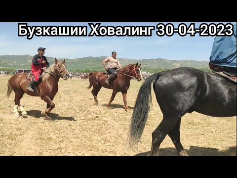 Видео: Бузкашии Ховалинг рузи 30-юми апрели 2023