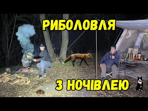 Видео: КОРОП КЛЮЄ ЯК СКАЖЕНИЙ, РИБОЛОВЛЯ В МІСТИЧНОМУ МІСЦІ