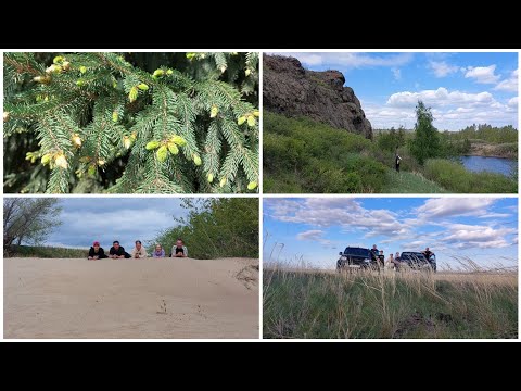 Видео: ПОЕХАЛИ НА ПРИРОДУ 🔥 МНОГО КЛЕЩЕЙ // СПУСТЯ ГОД НА ЛУЧШЕЕ МЕСТО // ОТЛИЧНО ПРОКАТНУЛИСЬ
