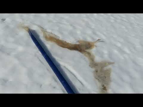 Видео: откачка септика,асенезаторская машина больше не нужна