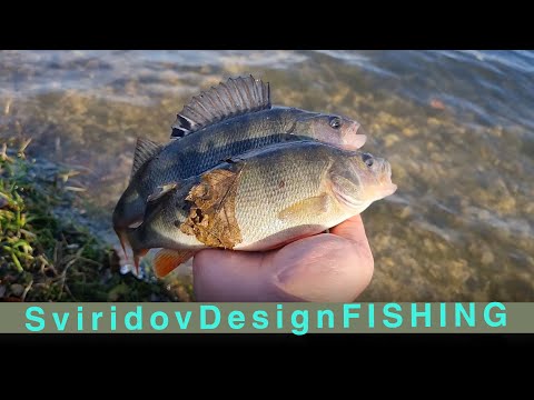 Видео: Троллинг на электромоторе.