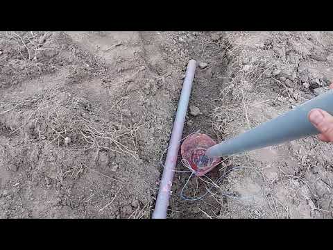 Видео: Посадка чеснока 2019г. Способ посадки, схема и протравливание перед посадкой.