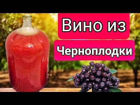 Видео: ДОМАШНЕЕ ВИНО ИЗ ЧЕРНОПЛОДНОЙ РЯБИНЫ. Простейший рецепт вкусного Напитка.