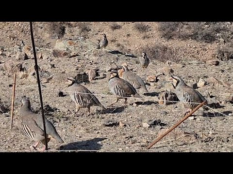Видео: 5 сентября 2025 г.