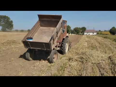 Видео: 6 вересня 2025 р.Город заріс як джунглі🥲🥲🥲!Копаємо картоплю модернізованою кінною копачкою🚜!!!