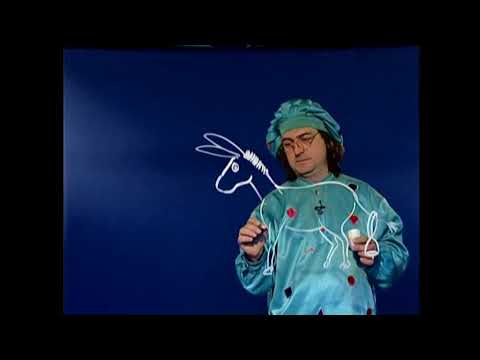 Видео: РИСУВАНИ ПРИКАЗКИ С БАТЕ ИЦО - ТРИМАТА КРАДЦИ от Л.Н.ТОЛСТОЙ/2009