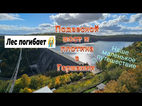 Видео: Гарц (Harz)./Подвесной мост/плотина/что с лесом?