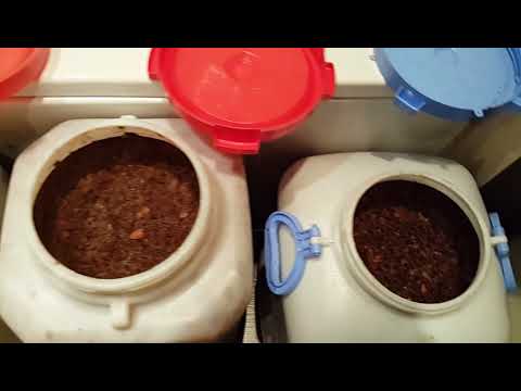 Видео: Фруктовые браги. Часть 1.