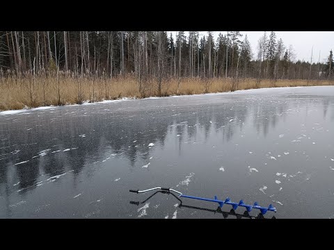 Видео: 20221127 впервые на озере Дорожное